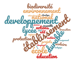 Nuage de mots r&eacute;alis&eacute; &agrave; partir des occurences de la circulaire