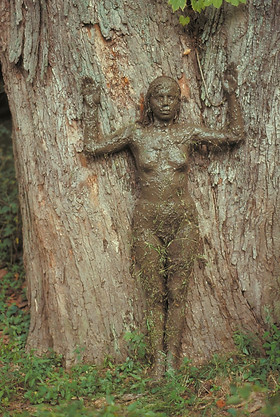 Ana Mendieta, Tree of Life, 1976, photographie couleur, 50,8 x 33,7 cm, Courtesy Galerie Lelong, New York, &copy; The Estate of Ana Mendieta Collection