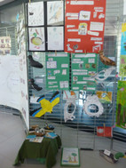 Les r&eacute;alisations de l&rsquo;&eacute;cole Schongauer de Strasbourg