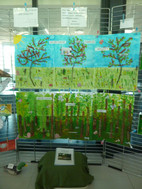 Les r&eacute;alisations de l'&eacute;cole de Brinckheim