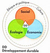 Les enjeux du d&eacute;veloppement